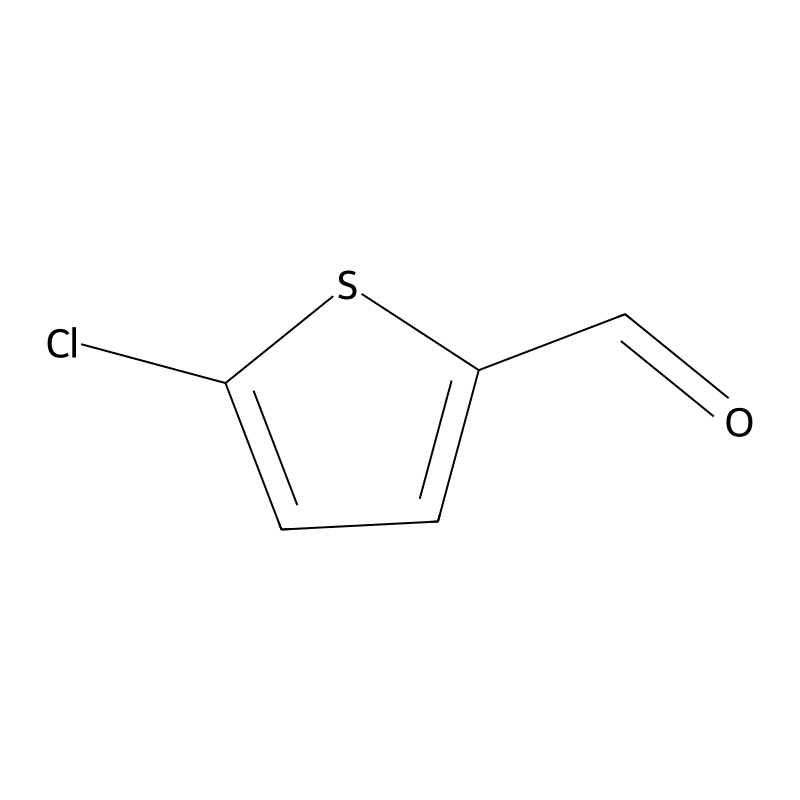 5-Chlorothiophene-2-carbaldehyde