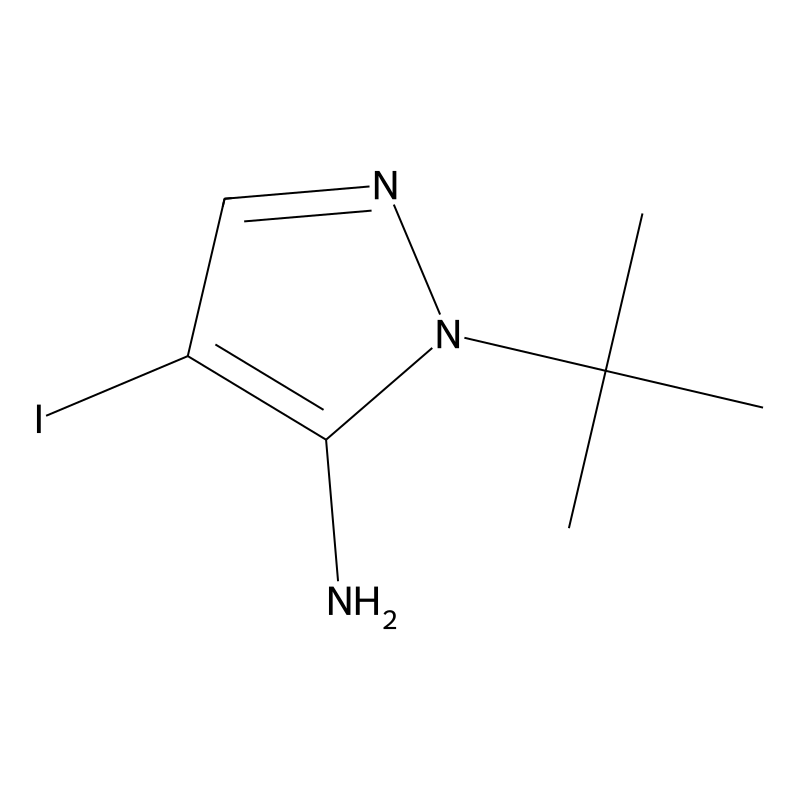 1-tert-butyl-4-iodo-1H-pyrazol-5-amine