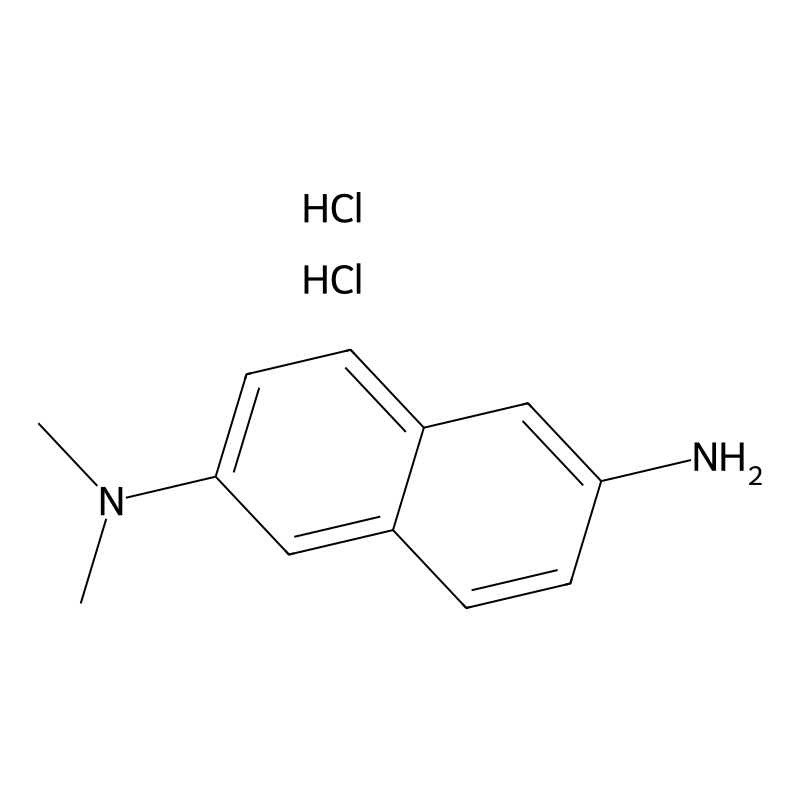 N2,N2-dimethylnaphthalene-2,6-diamine dihydrochlor...