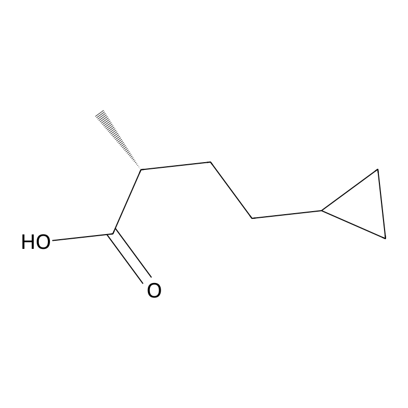 (2R)-4-Cyclopropyl-2-methylbutanoic acid