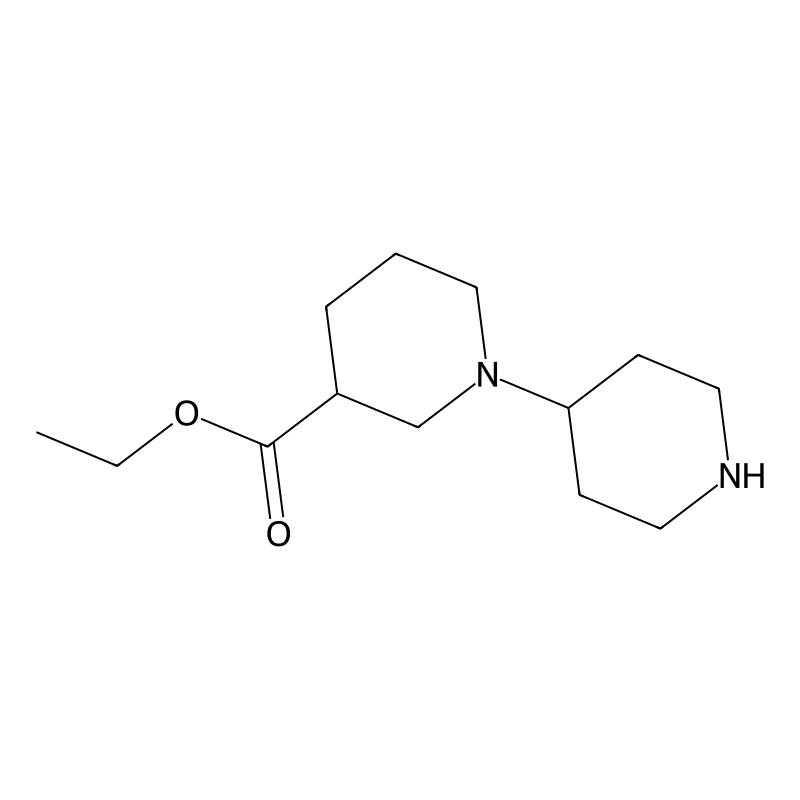 [1,4']Bipiperidinyl-3-Carboxylic Acid Ethyl Ester