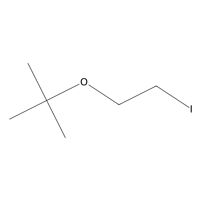 2-(2-Iodoethoxy)-2-methylpropane
