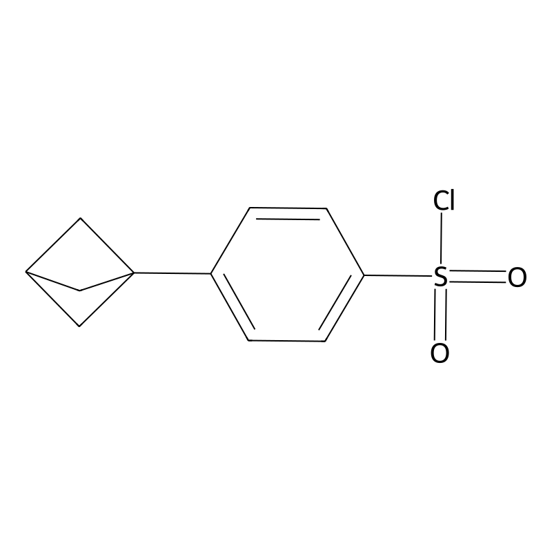 4-(Bicyclo[1.1.1]pentan-1-yl)benzenesulfonyl chlor...
