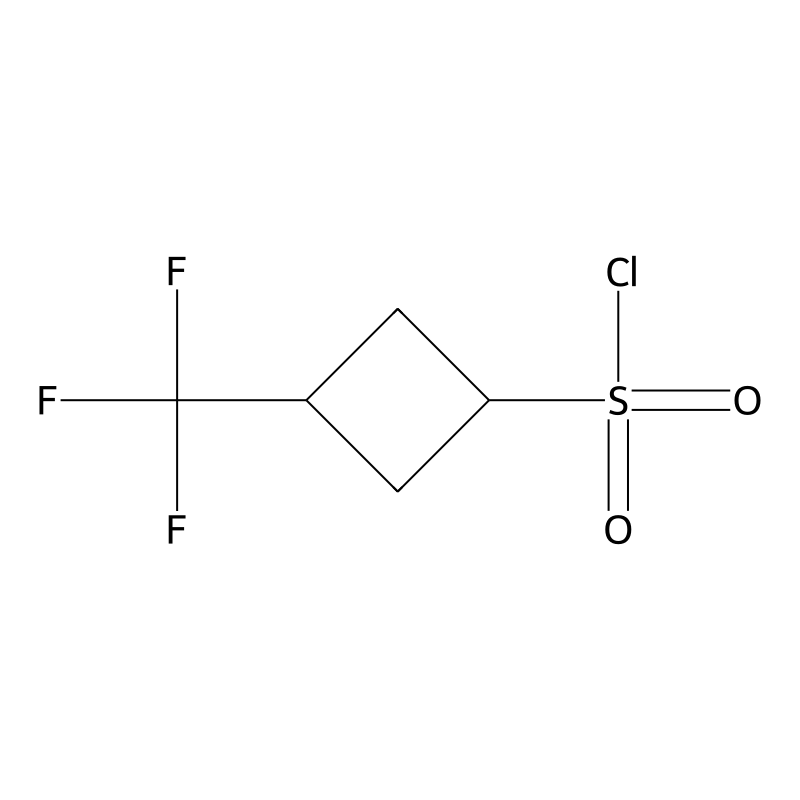 3-(Trifluoromethyl)cyclobutane-1-sulfonyl chloride