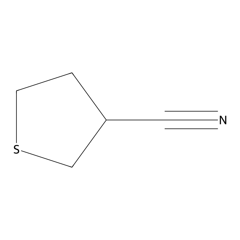 Thiolane-3-carbonitrile