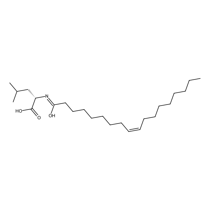 N-oleoyl leucine