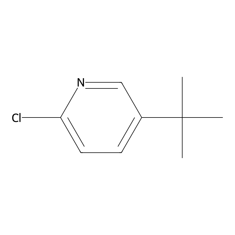 5-(tert-Butyl)-2-chloropyridine