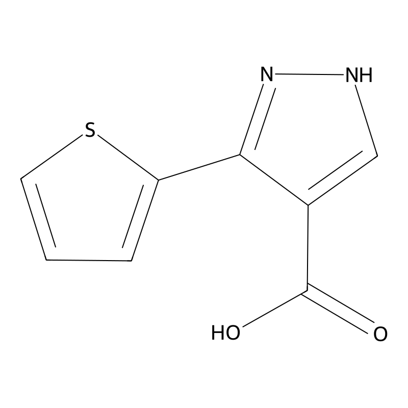 5-Thien-2-YL-1H-pyrazole-4-carboxylic acid