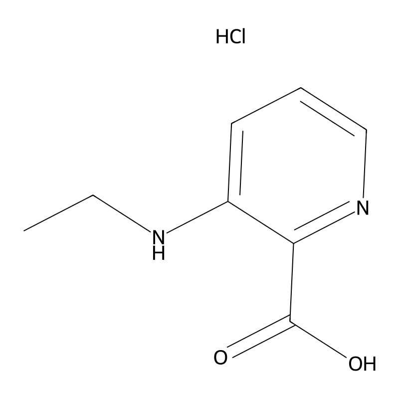 3-(Ethylamino)pyridine-2-carboxylic acid hydrochlo...