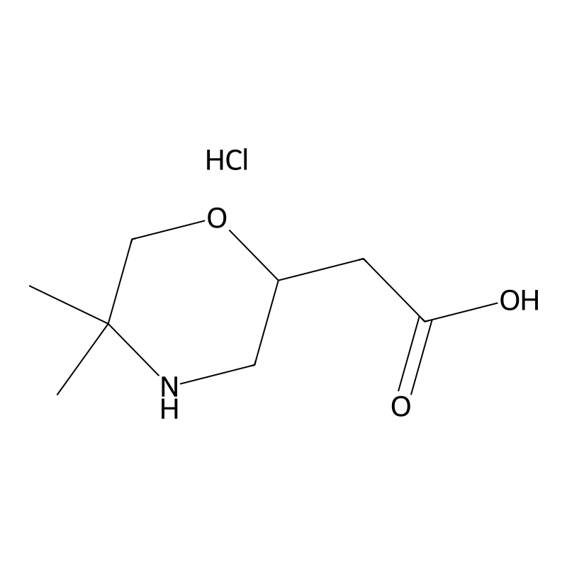 (5,5-Dimethyl-morpholin-2-yl)-acetic acid hydrochl...