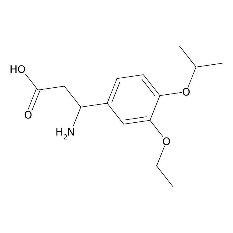 3-Amino-3-(3-ethoxy-4-isopropoxyphenyl)propanoic a...