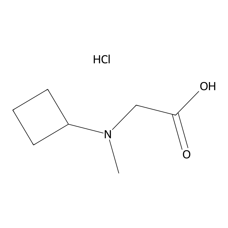 2-[Cyclobutyl(methyl)amino]acetic acid hydrochlori...