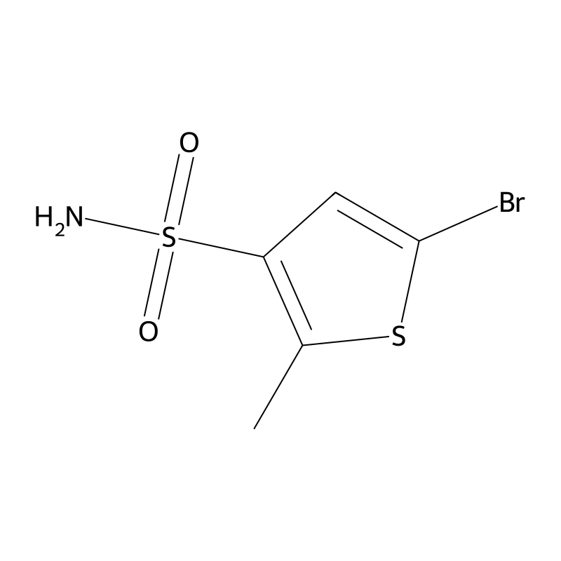 5-Bromo-2-methylthiophene-3-sulfonamide