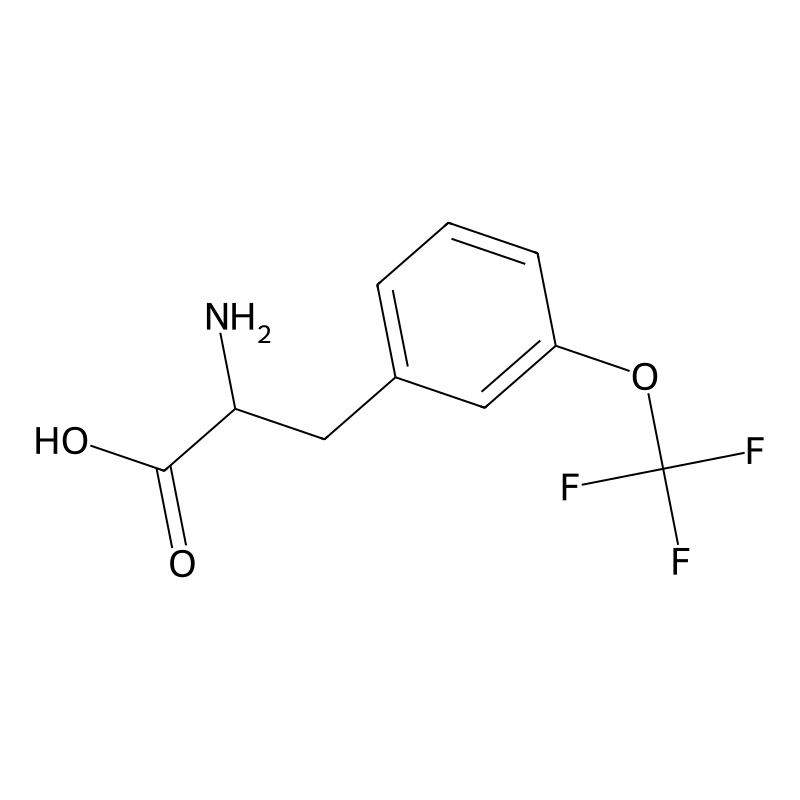 3-(Trifluoromethoxy)-DL-phenylalanine