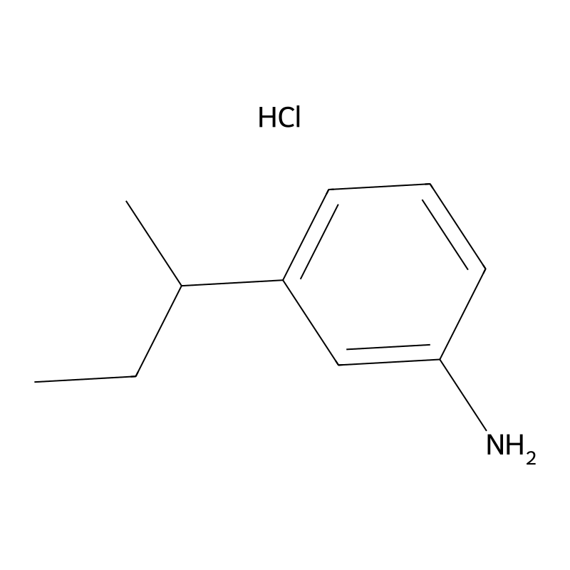 3-(Butan-2-yl)aniline hydrochloride
