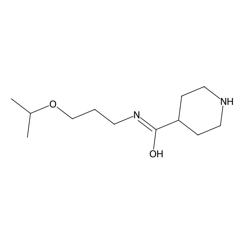 N-[3-(propan-2-yloxy)propyl]piperidine-4-carboxami...