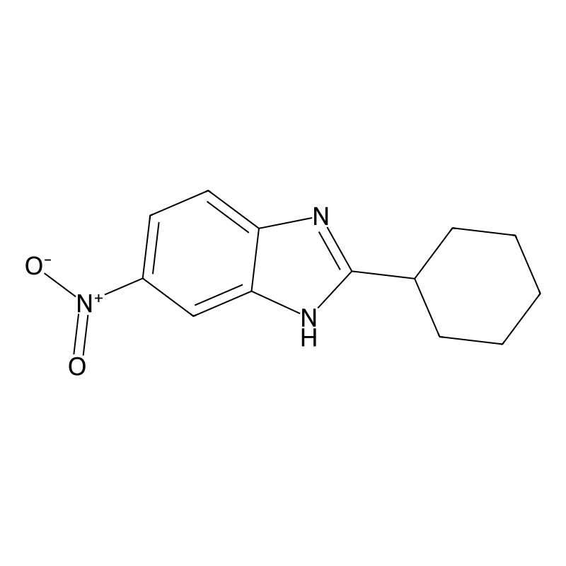 2-cyclohexyl-5-nitro-1H-benzimidazole