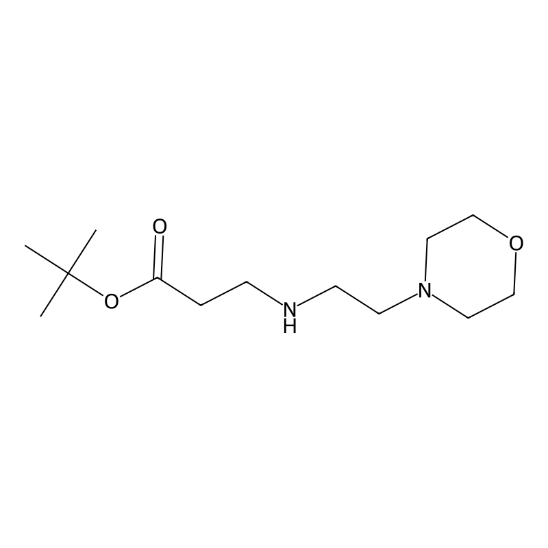 tert-Butyl 3-{[2-(morpholin-4-yl)ethyl]amino}propa...