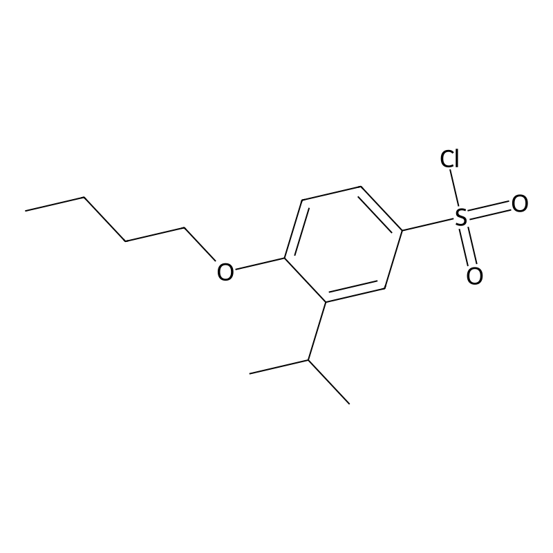 4-Butoxy-3-(propan-2-yl)benzene-1-sulfonyl chlorid...