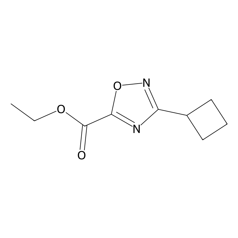 Ethyl 3-cyclobutyl-1,2,4-oxadiazole-5-carboxylate