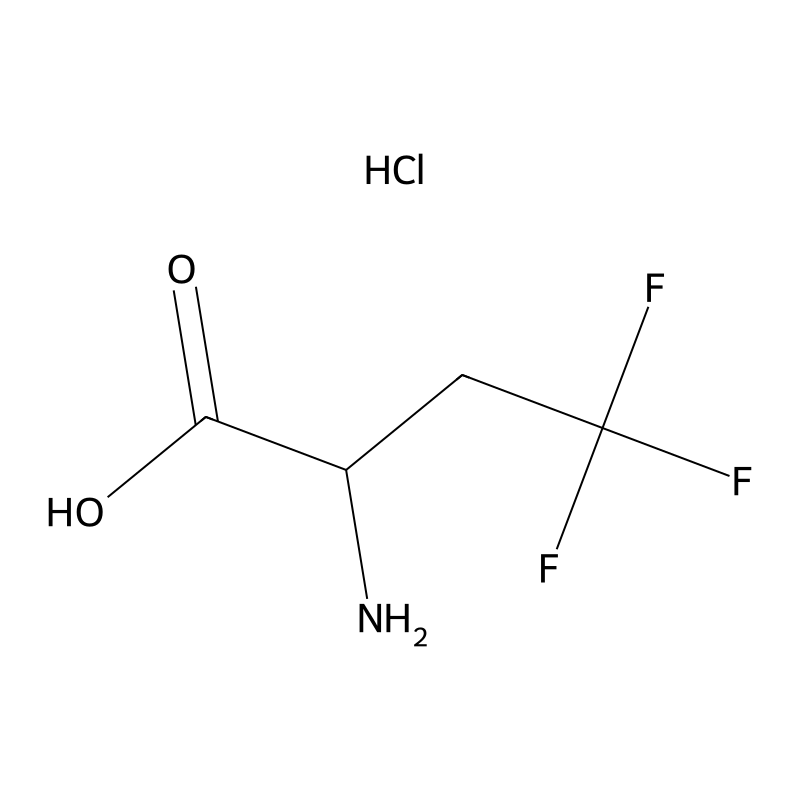 2-Amino-4,4,4-trifluorobutanoic acid hydrochloride