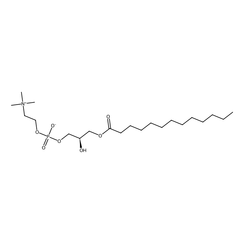 1-Tridecanoyl-sn-glycero-3-phosphocholine
