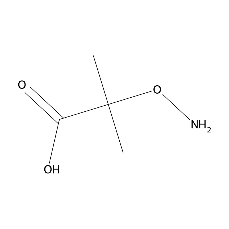 2-(Aminooxy)-2-methylpropanoic acid