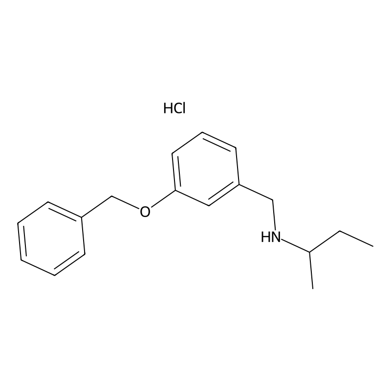 {[3-(Benzyloxy)phenyl]methyl}(butan-2-yl)amine hyd...