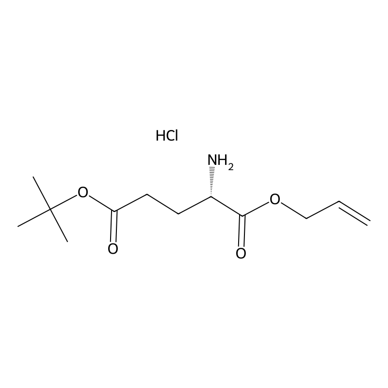 H-Glu(Otbu)-Allyl Ester HCl