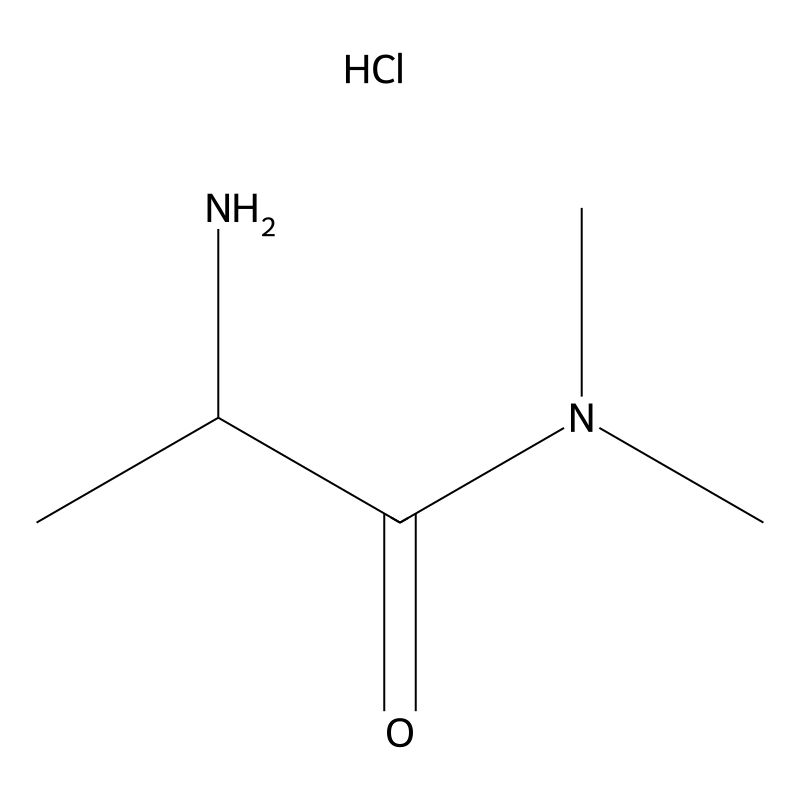 2-amino-N,N-dimethylpropanamide hydrochloride