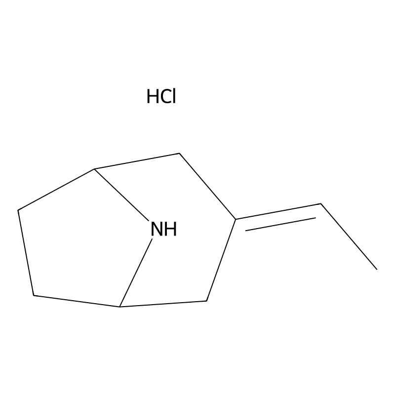 3-Ethylidene-8-azabicyclo[3.2.1]octane hydrochlori...