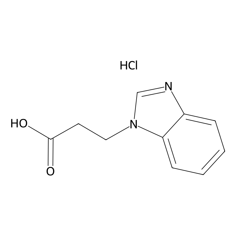 3-(1H-Benzimidazol-1-yl)propanoic acid hydrochlori...