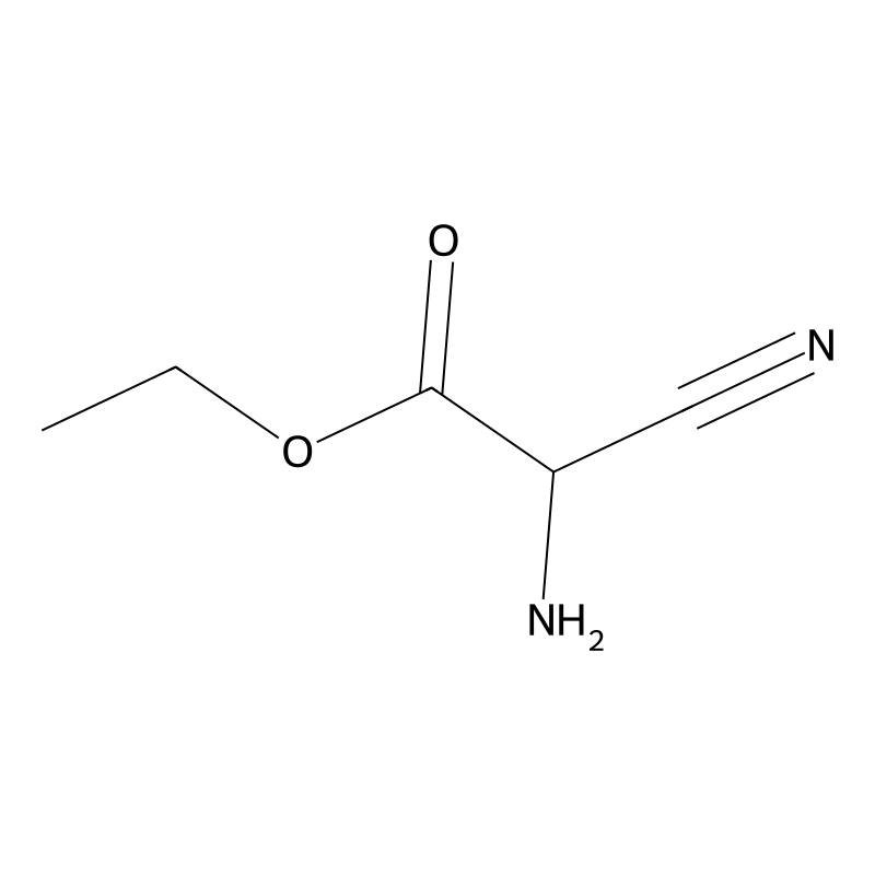 Ethyl 2-amino-2-cyanoacetate