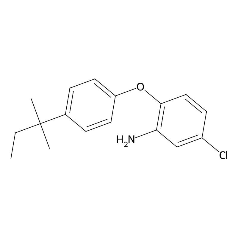5-Chloro-2-[4-(tert-pentyl)phenoxy]aniline