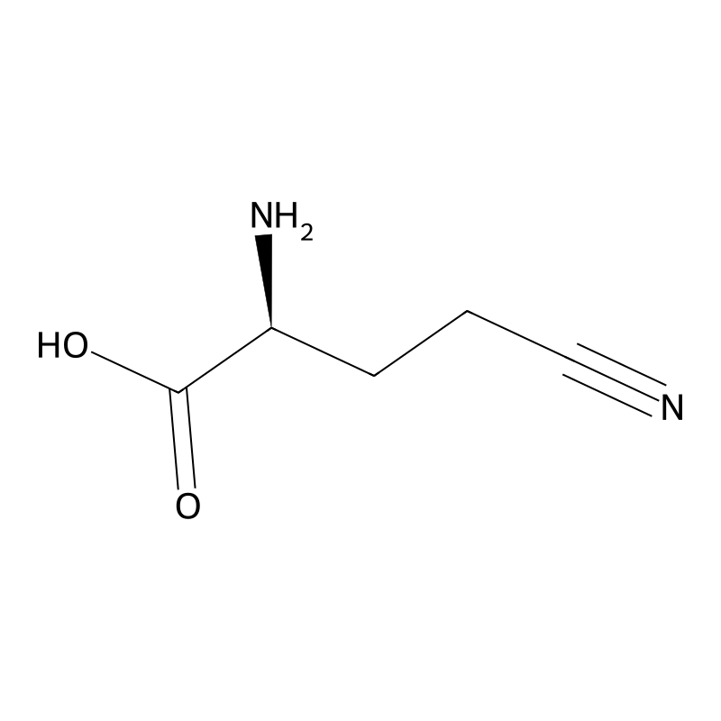 (S)-2-Amino-4-cyanobutanoic acid