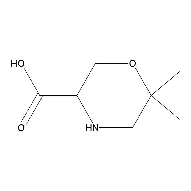6,6-Dimethylmorpholine-3-carboxylic acid