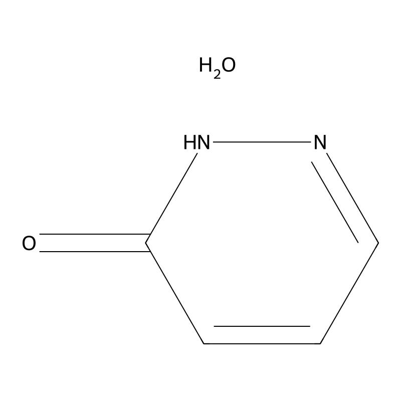 1H-Pyridazin-6-one hydrate