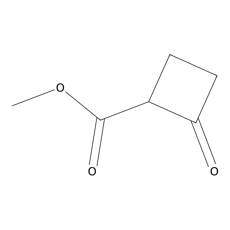 Methyl 2-oxocyclobutanecarboxylate