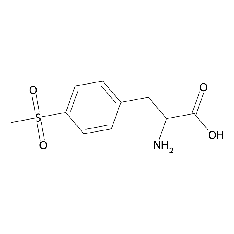 2-Amino-3-[4-(methylsulfonyl)phenyl]propionic Acid