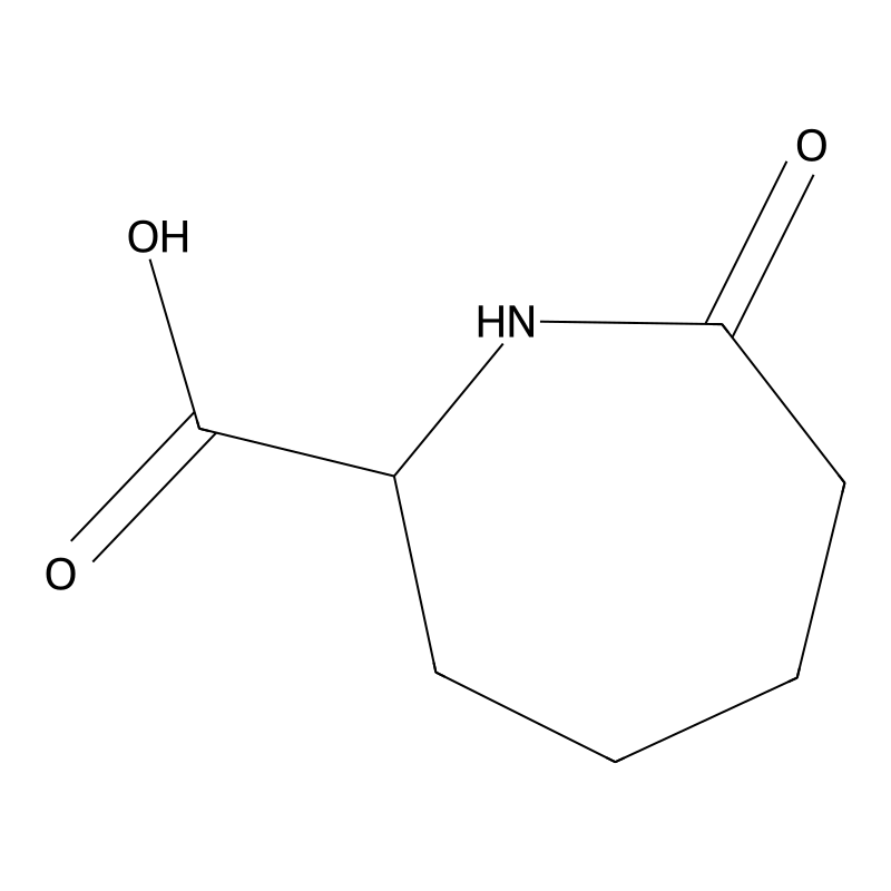 7-Oxoazepane-2-carboxylic acid