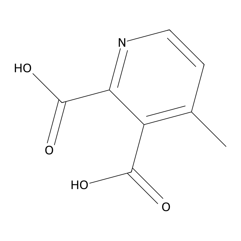 4-Methylpyridine-2,3-dicarboxylic acid