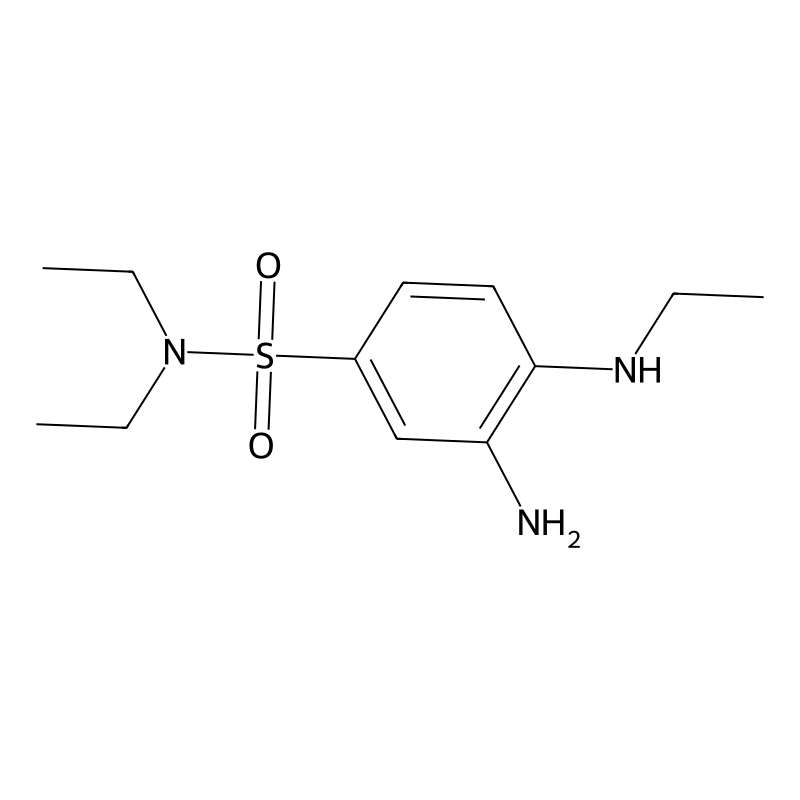3-amino-N,N-diethyl-4-(ethylamino)benzenesulfonami...