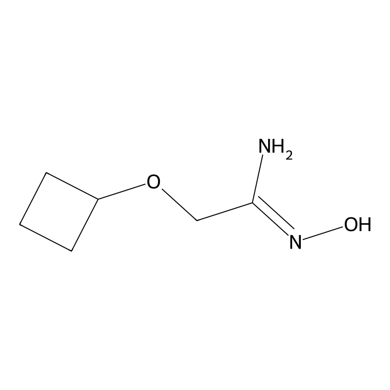2-cyclobutoxy-N'-hydroxyethanimidamide