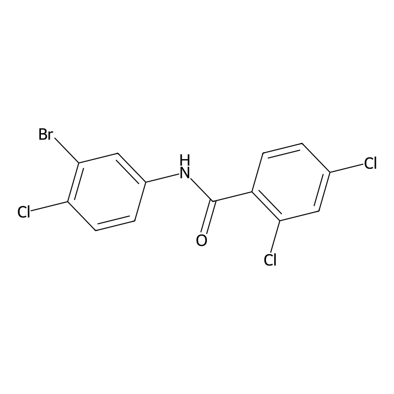 N-(3-bromo-4-chlorophenyl)-2,4-dichlorobenzamide