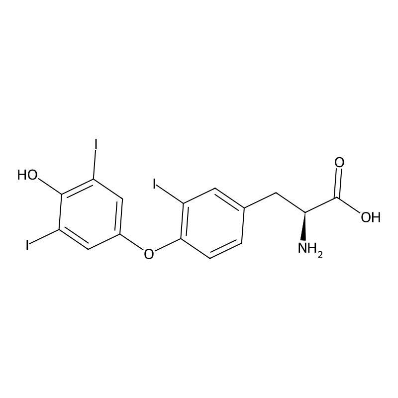 3,3',5'-Triiodo-L-thyronine