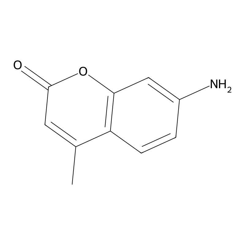 7-Amino-4-methylcoumarin