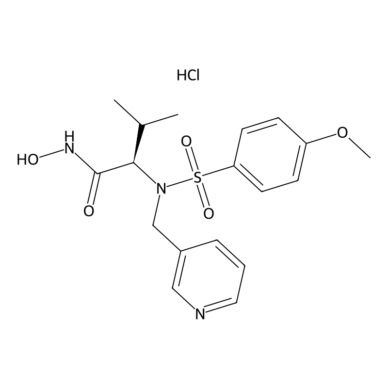 N-Hydroxy-2(R)-[[(4-methoxyphenyl)sulfonyl](3-picolyl)amino]-3-methylbutanamide hydrochloride