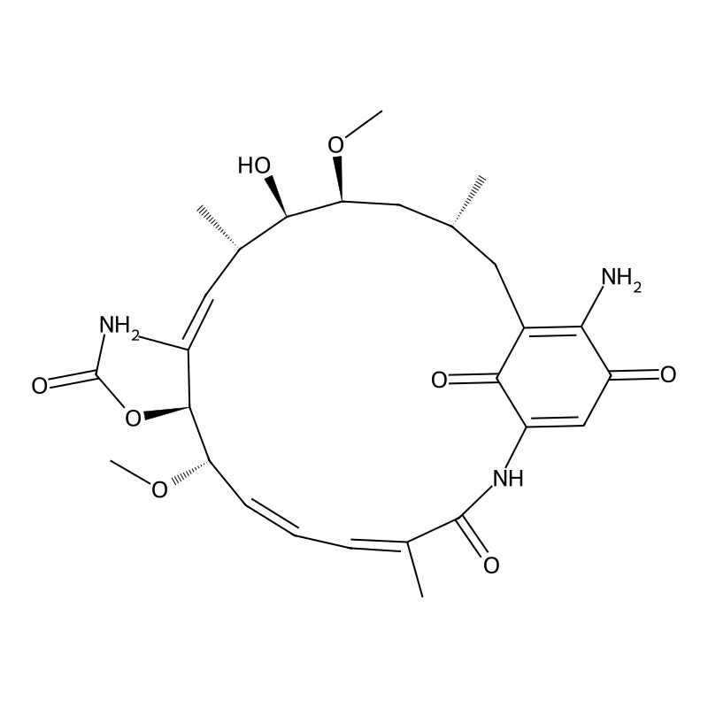 17-Aminogeldanamycin