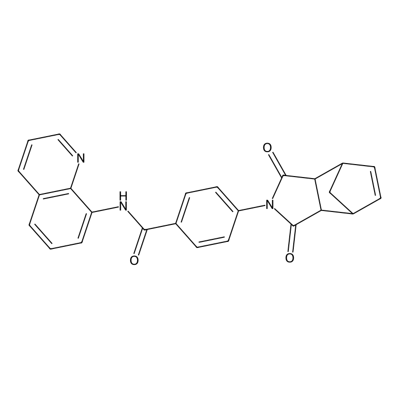 IWR-1-endo