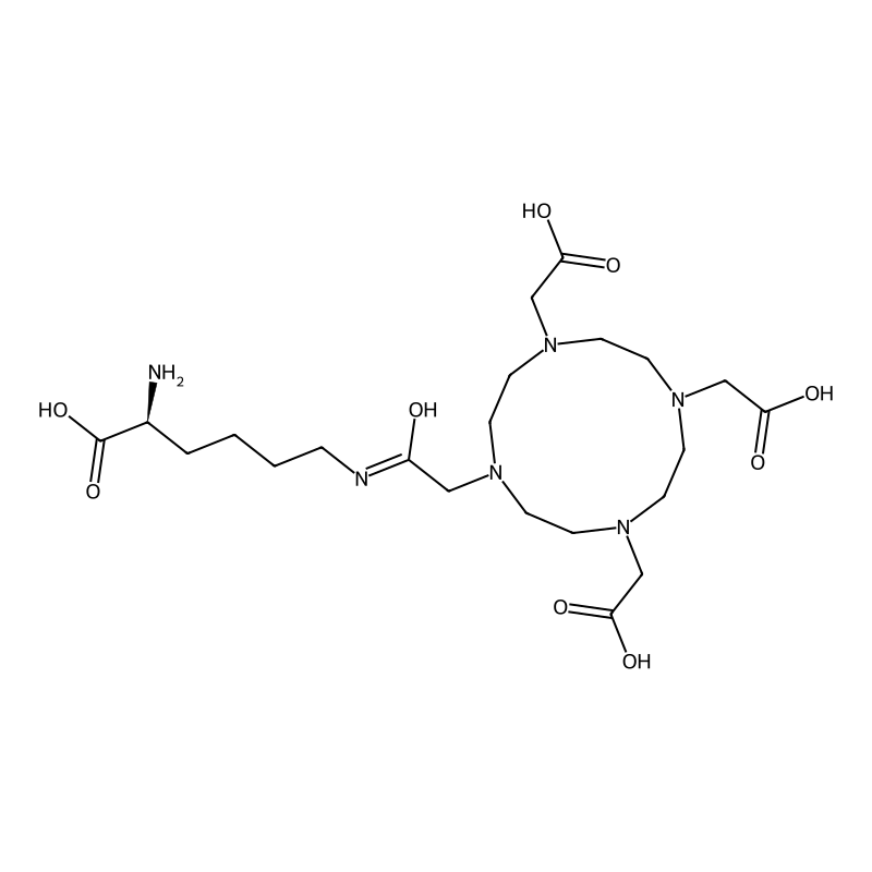 Lysine-DOTA